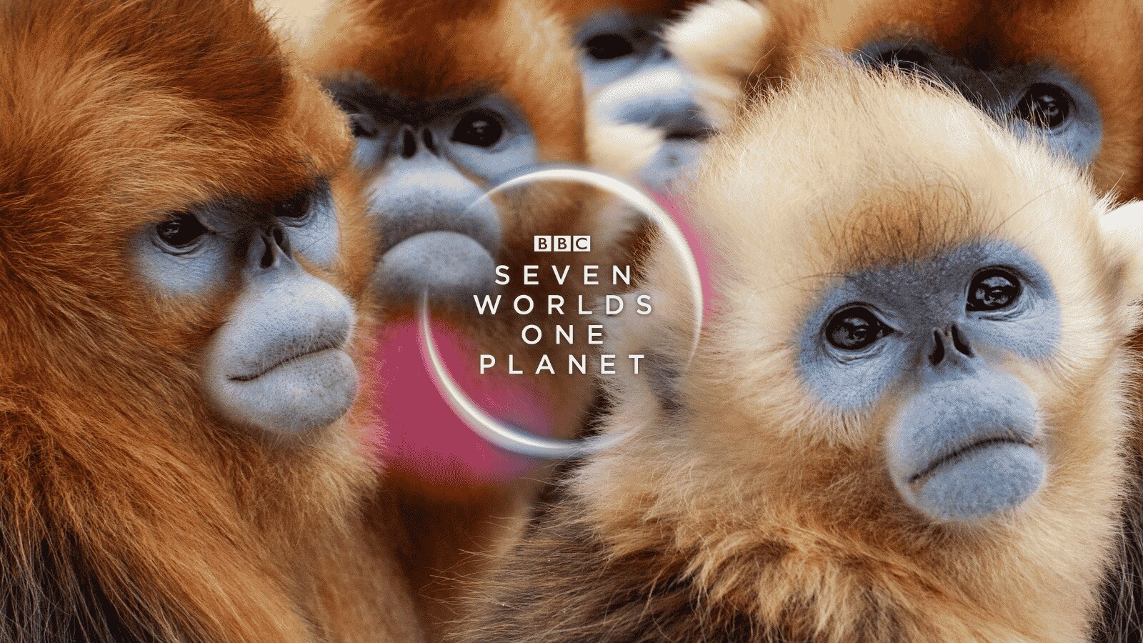 Seven Worlds, One Planet