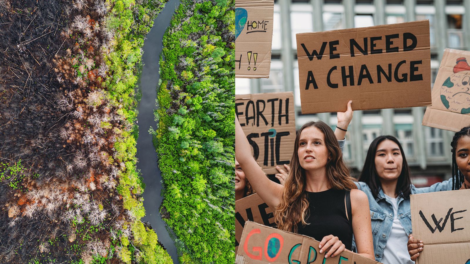 Students explore major global issues, so they’ll be better equipped to think critically, engage in meaningful discussions, and propose solutions.