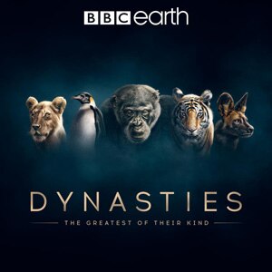 Dynasties